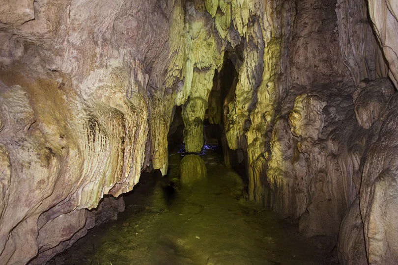 Limestone Caves In Baratang Island